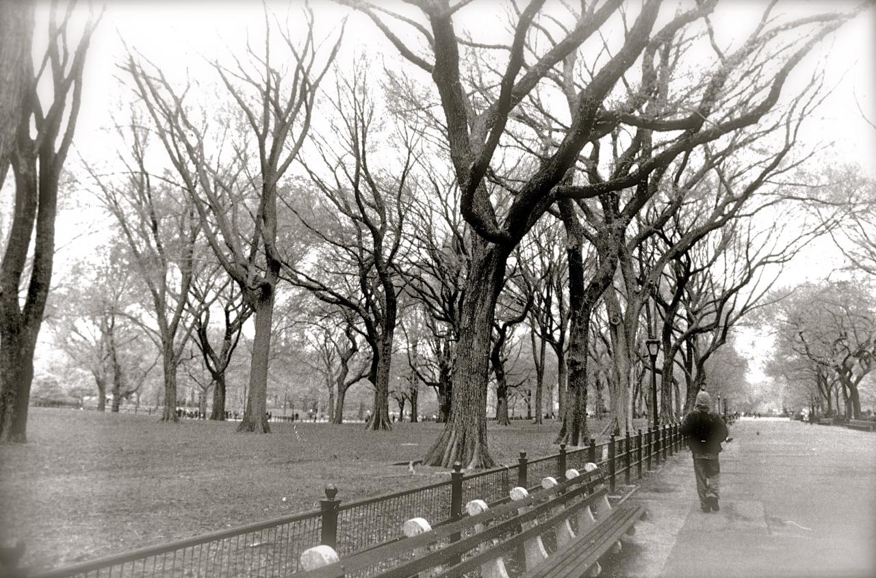 Central Park