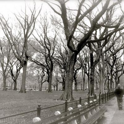 Central Park