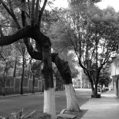 Mexique