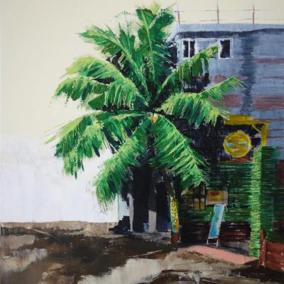 Palmera: 65/81 cm