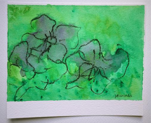 Fleurs 1: 11,5/14 cm